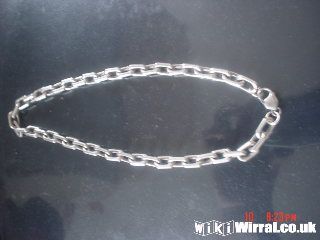 Attached picture silver necklace.JPG